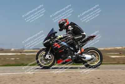 media/Mar-23-2025-TrackDaz (Sun) [[88a7749186]]/B Group/1220pm (Wheelie Bump)/